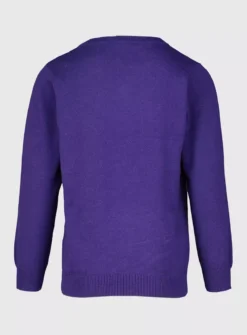 Purple V-Neck Jumpers 2 Pack - 12 Years