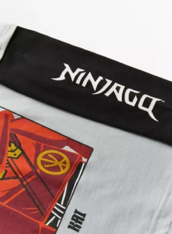 Ninjago Grey Character T-Shirt 4 Years