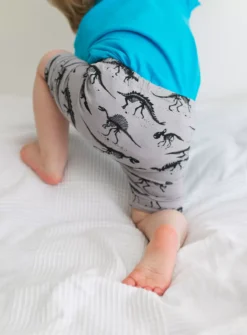 FRED & NOAH Grey Skeleton Dino Shorts - 1-2 Years -Hush Puppies Clothing Sale tuc143049979 Grey R Z002A