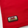 Wales Rugby Red T-Shirt 8 Years -Hush Puppies Clothing Sale tuc143441364 Red R Z002A