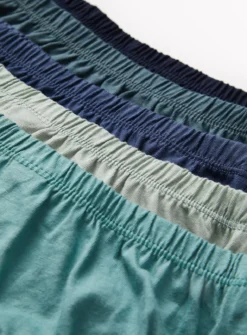 Blue Briefs 10 Pack 1.5-2 Years