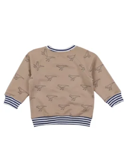 LILLY + SID GOTS Dino Print Sweatshirt 2-3 Years -Hush Puppies Clothing Sale tuc143535150 Stone R Z003A