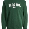 JACK & JONES JUNIOR Varsity Crew Neck Sweatshirt 10 Years -Hush Puppies Clothing Sale tuc144090316 Green R Z001A