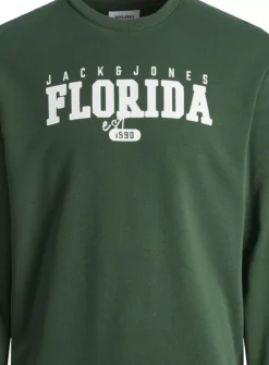 JACK & JONES JUNIOR Varsity Crew Neck Sweatshirt 6 Years -Hush Puppies Clothing Sale tuc144090316 Green R Z002A 1